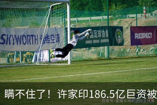 瞒不住了！许家印186.5亿巨资被挖出，不是转给了丁玉梅，却是他